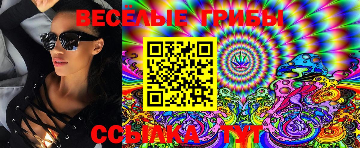 Псилоцибиновые грибы Cubensis Волгодонск